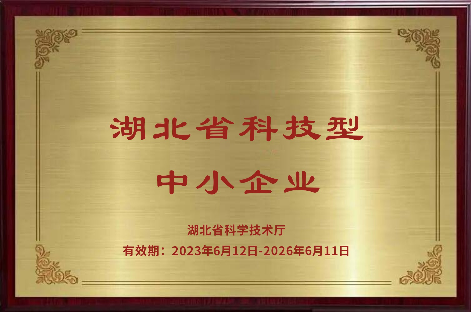 湖北省科技型中小企業(yè)